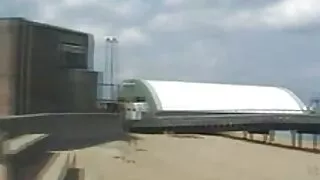 A mãe japonesa que a ...