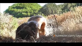 Clipe de compilação  ...
