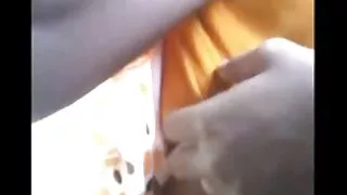 Gengibre vídeo de po ...