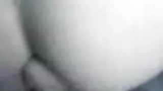 Cadelas voluptuosas  ...