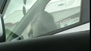 Doce puta pequenina  ...
