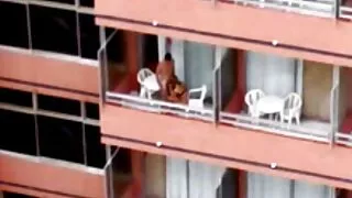 Encantadora adolesce ...